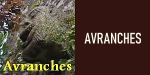 Avranches